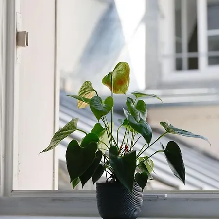 Appartement Esperanza Evasion Au Coeur Des Halles *